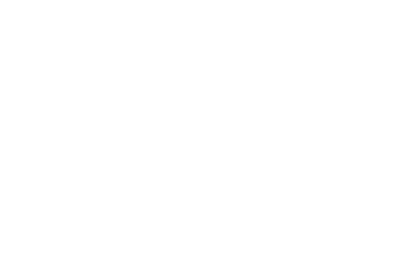 toro logo